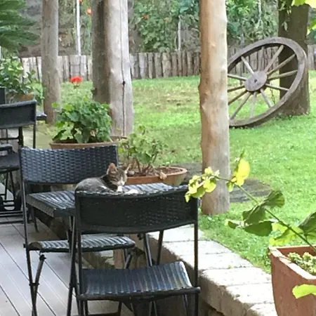 Bed and breakfast Giardino Sorrentino