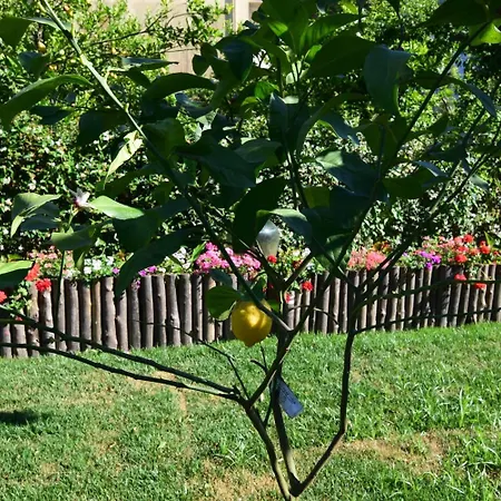 Giardino Sorrentino 4* Península Sorrentina