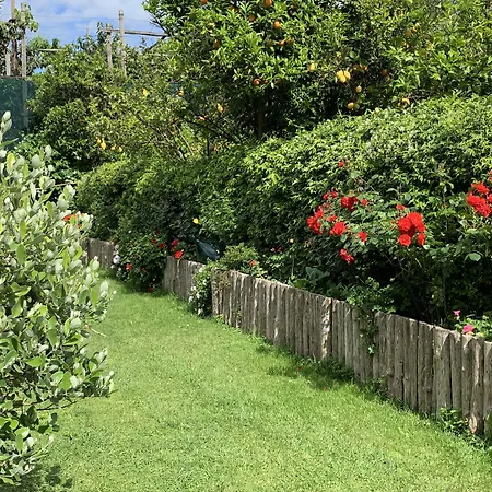 Bed and breakfast Giardino Sorrentino