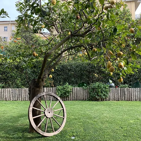 Giardino Sorrentino Península Sorrentina