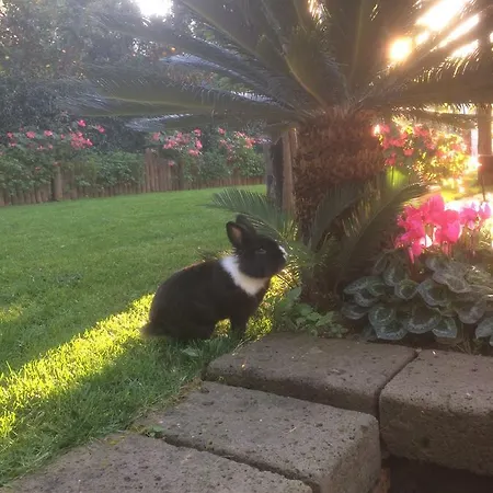 Giardino Sorrentino Nocleg ze śniadaniem